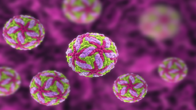 صورة فيروس نادر” يثير الرعب مع ارتفاع إصابات أمراض الدماغ القاتلة في الولايات المتحدة!