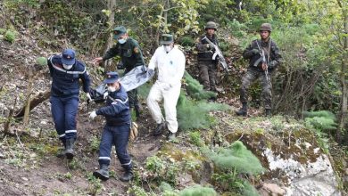 صورة وزارة الدفاع الوطني: كشف وتدمير مخبأ للإرهابيين واسترجاع  كمية معتبرة من الأسلحة  والذخيرة في عملية نوعية بتيزي وزو