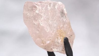 صورة لولو روز: أكبر ماسة وردية يتم اكتشافها منذ 300 عام