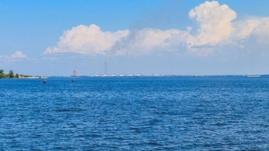 صورة مرتزقة أجانب شاركوا في الإنزال الفاشل لقوات كييف في مقاطعة زاوبورجيه