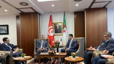 صورة وزير السياحة والصناعة التقليدية يجري مباحثات مع نظيره التونسي