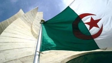 صورة الجزائر تحيي اليوم الوطني للهجرة تخليدا لأرواح شهداء مجازر 17 أكتوبر 1961 بفرنسا